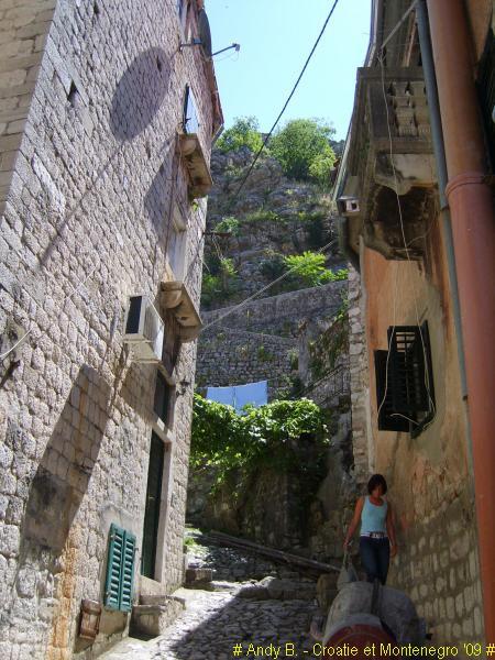 Kotor (33).jpg